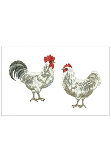 Pet097 - Rooster and Hen